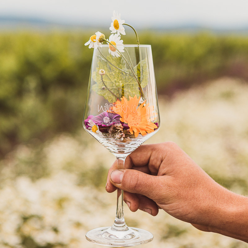 Voller Blütengeschmack im Glas | Bioweinhof Widerna