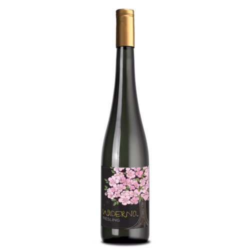 Bio-Riesling Selection 2021 | Bio-Weißwein trocken