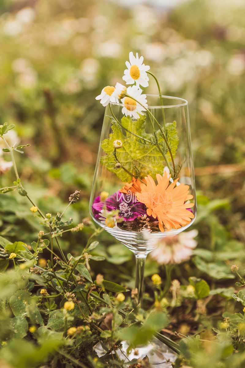 Bioweinhof Widerna der Wein mit den Blüten im Glas