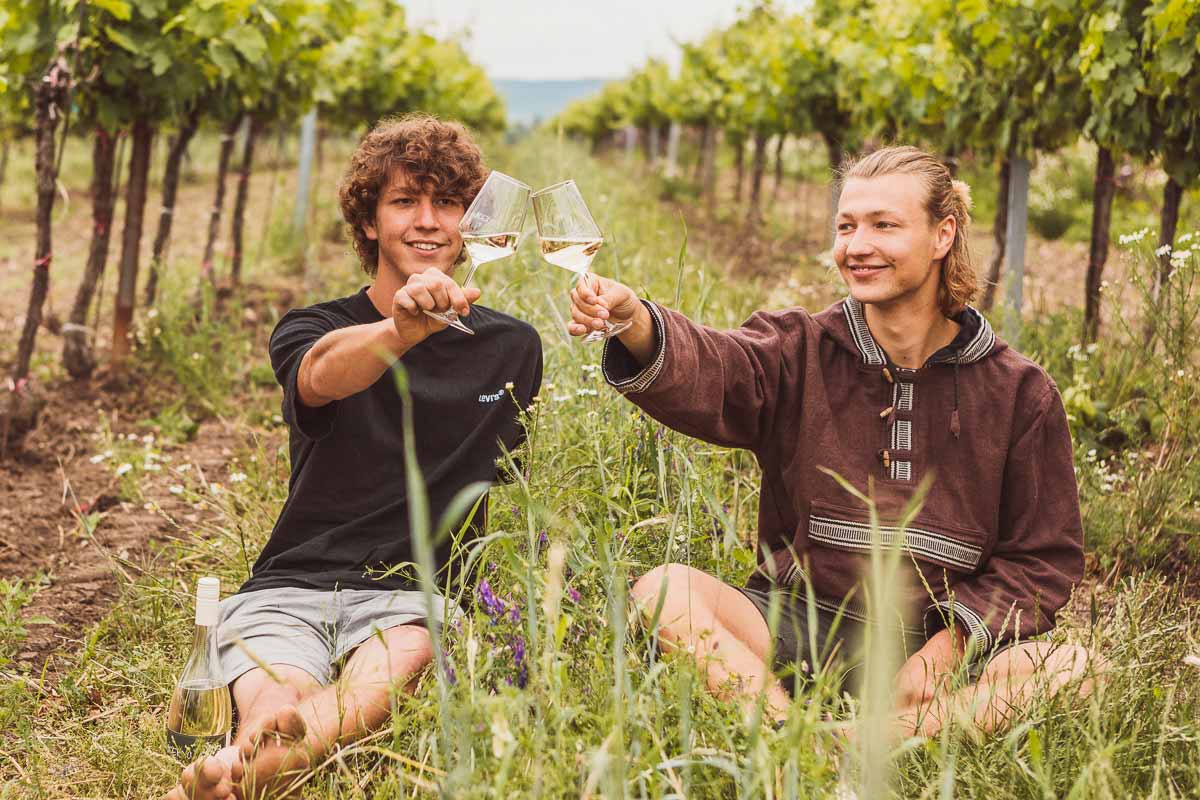 Bioweinhof Widerna | Jungwinzer Florian und Florian Widerna