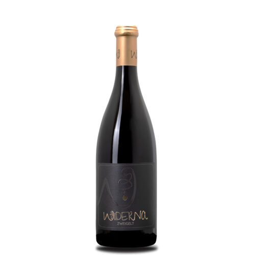 Bio-Zweigelt 2023 | Bio-Rotwein trocken